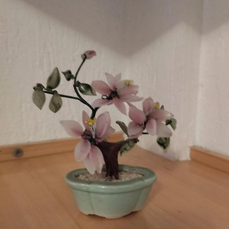 Apartment Klara バール エクステリア 写真