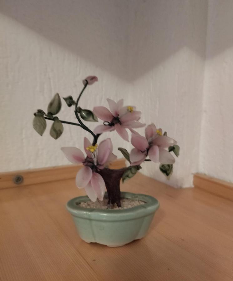 Apartment Klara バール エクステリア 写真